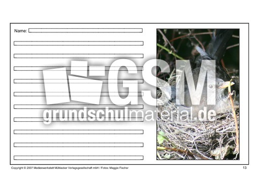 Amsel-eigene-Texte-13.pdf